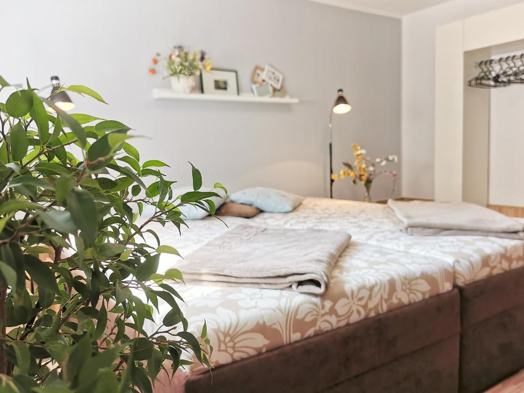 flex living - Ferienwohnung Wassermann room 1