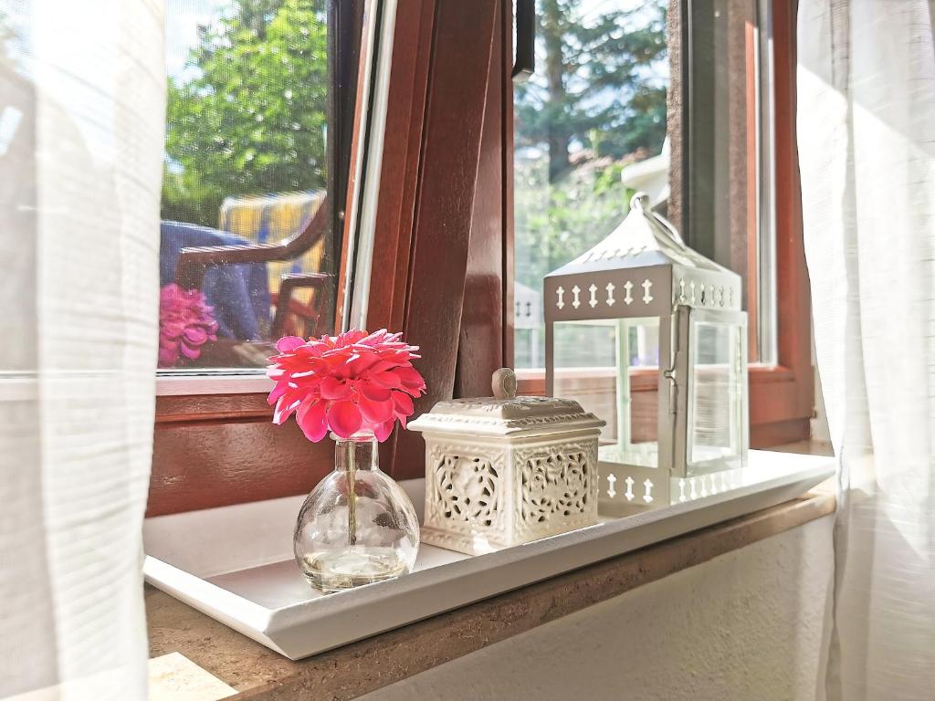 flex living - Ferienwohnung Wassermann room 5